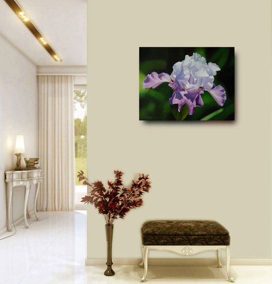 Iris, Flower painting