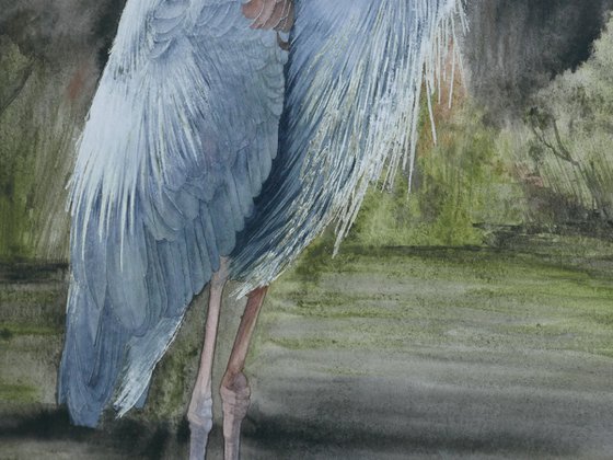 Blue Heron