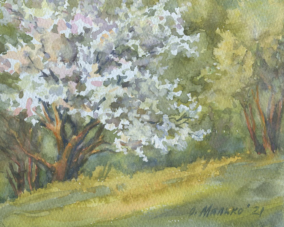 Spring again. A flowering tree in the last rays / Original watercolor artwork. Plein air p... by Olha Malko