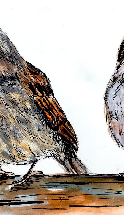 Two Sparrows by Ksenia Lutsenko