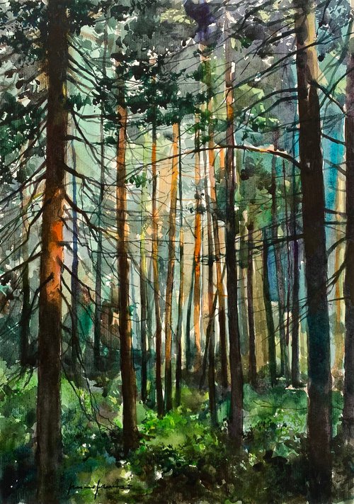Forest Rays by Artem Grunyka