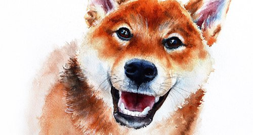 Artwork by Yana Shvets