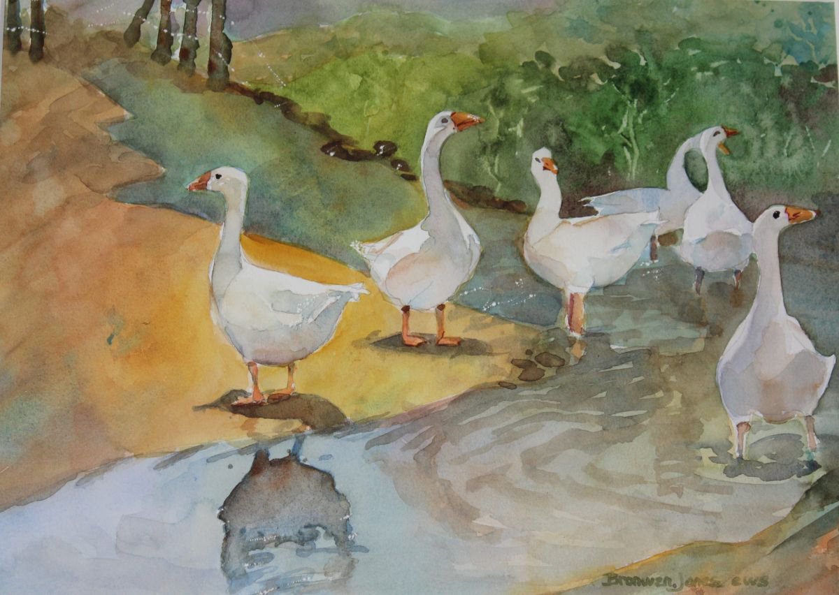 Duck, Duck, Goose by Bronwen Jones
