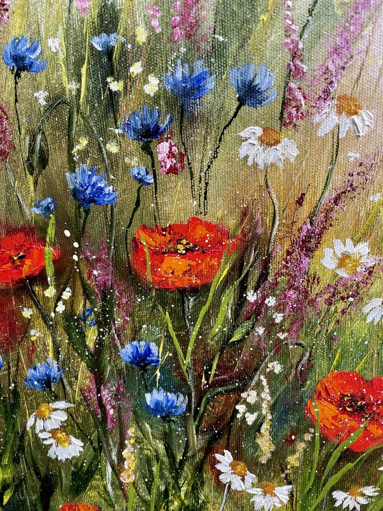 Passion and tenderness - red meadow flowers
