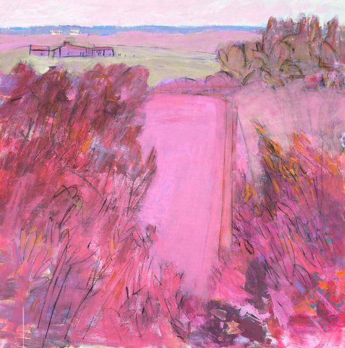 Pink Hill by Chrissie Havers