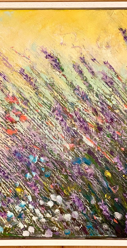 Lavender Sunrise by Lisa Timmerman