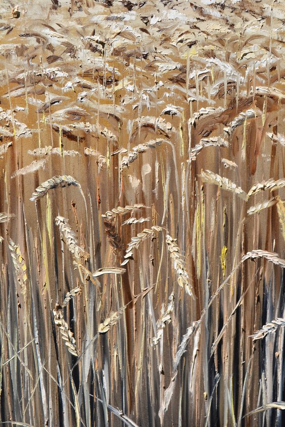 Golden Wheat