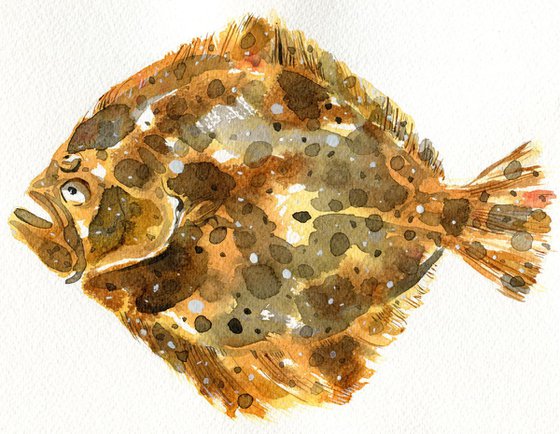 Turbot Fish Watercolour