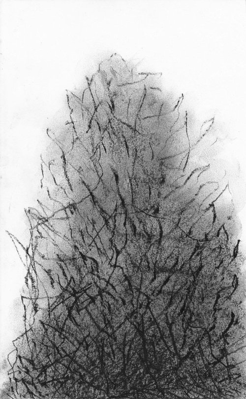 Etude silhouette d'arbre - sketch by Lionel Le Jeune