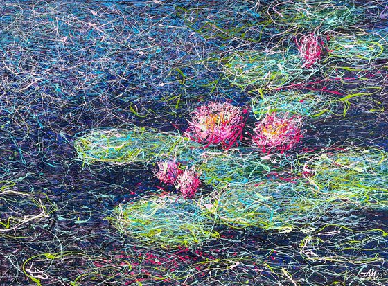 Pink Water lilies
