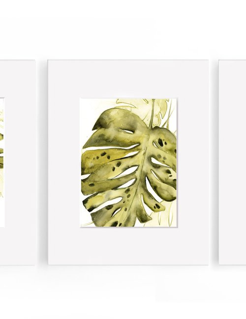 Monstera leaf watercolor paintings 3 set by Sophie Rodionov