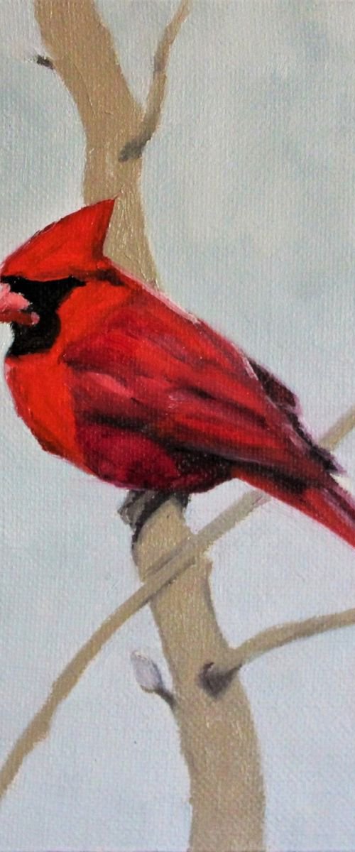 Song birds - Cardinal by Afekwo