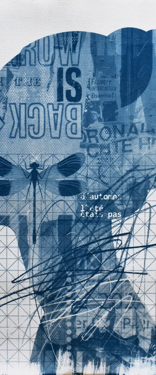 Cyanotype 33 Dragonfly by Manel Villalonga