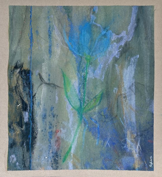 Bloom 5