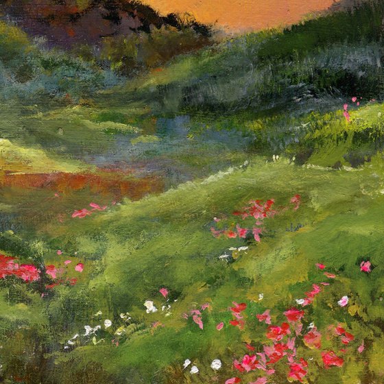 Hills with flowers at sunset