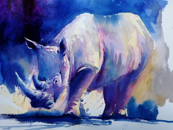 rhinos 6