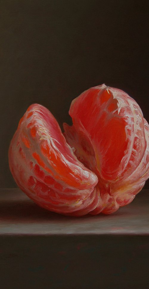 Grapefruit by Albert Kechyan