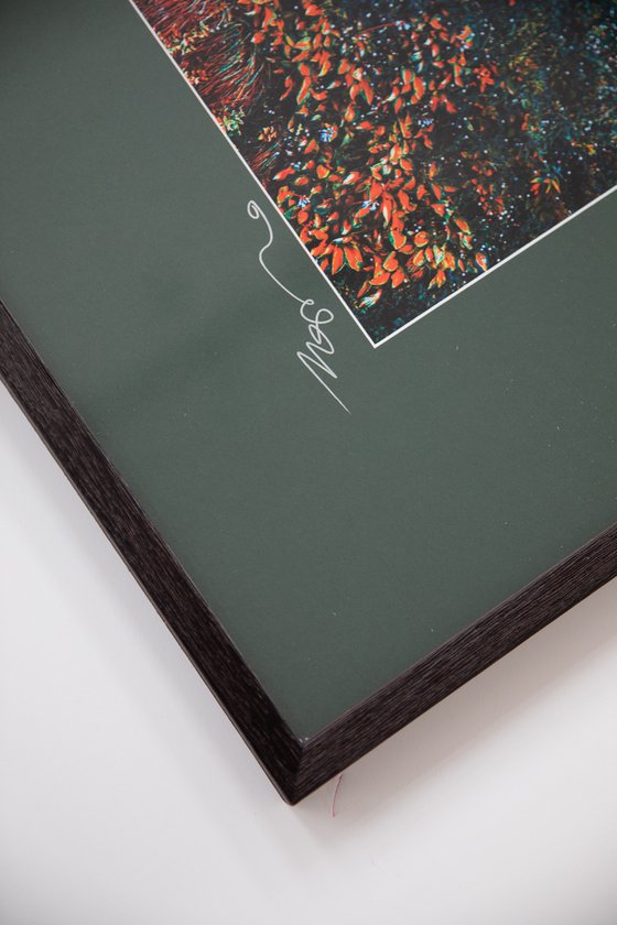 Wall of Nature V (Framed)