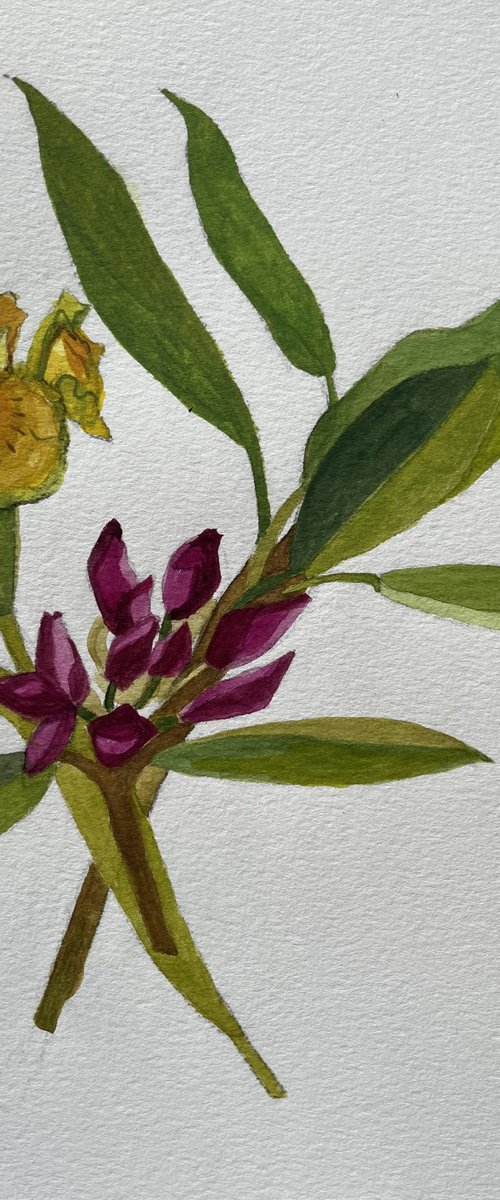 Rhododendron and Yellow Iris by Christine Callum McInally