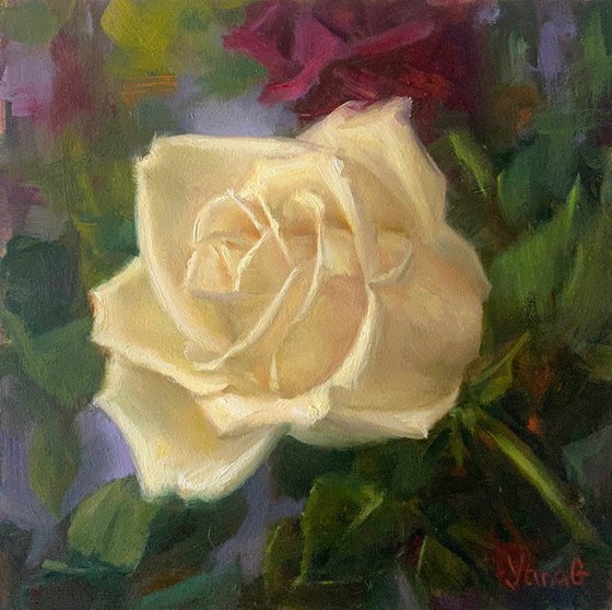 Cream Rose Original Oil Painting