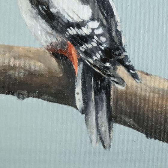 Woodpecker Oil Painting, Bird Artwork, Animal Art Framed