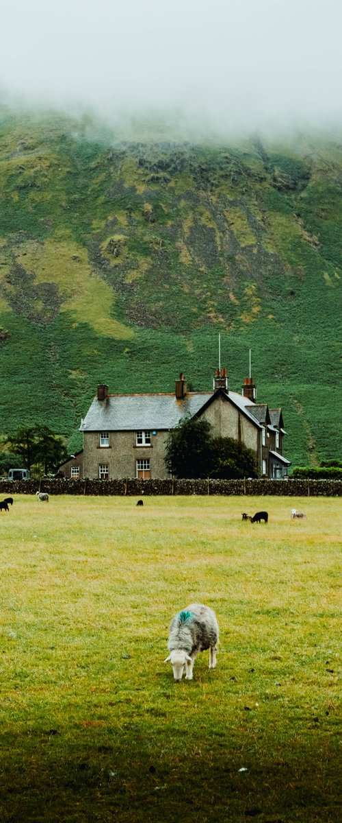 Down On The Farm by Adam Firman