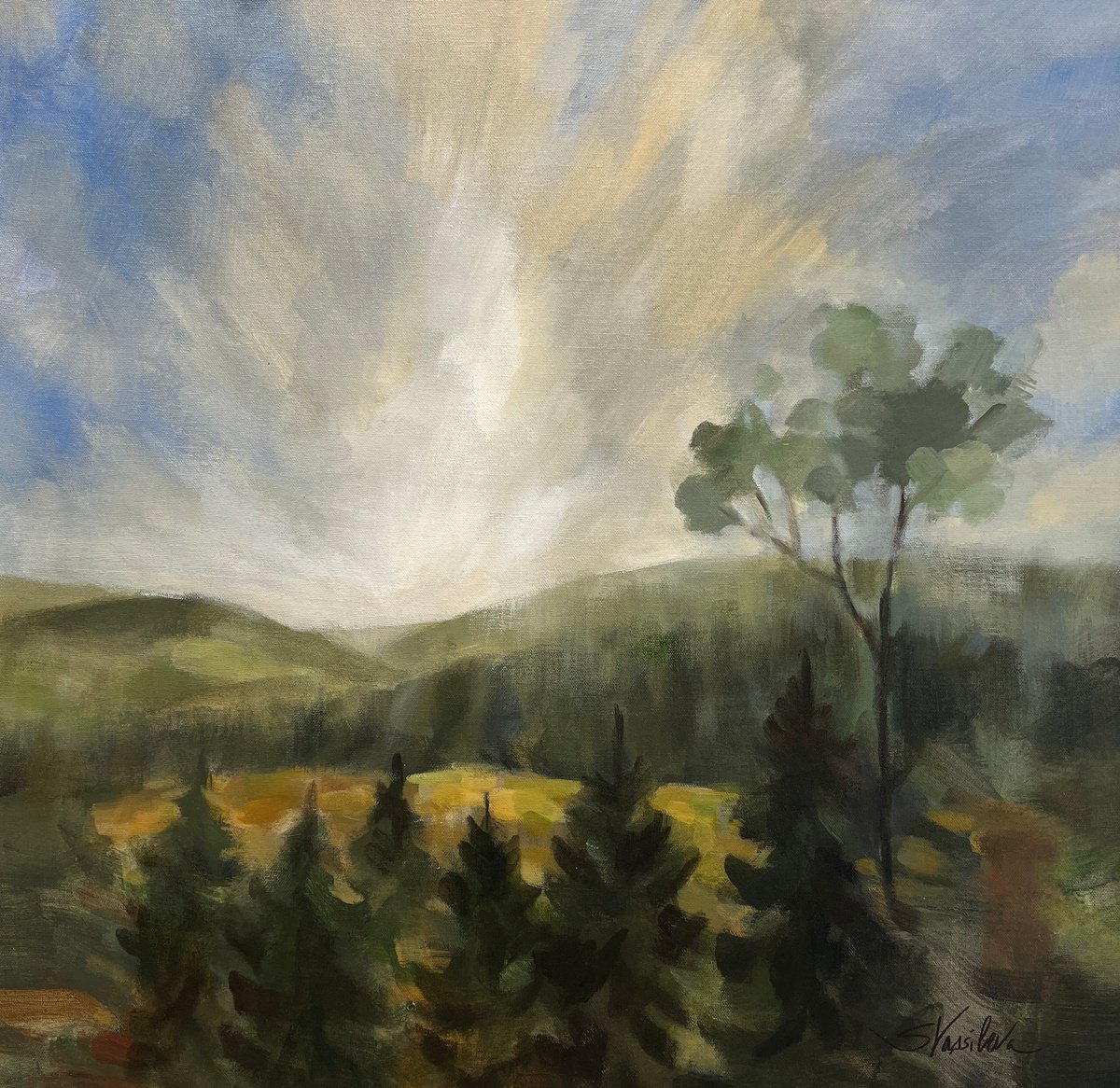  Forest At Sunrise By Silvia Vassileva, 26 X 26, Artwork For Sale On Artfinder