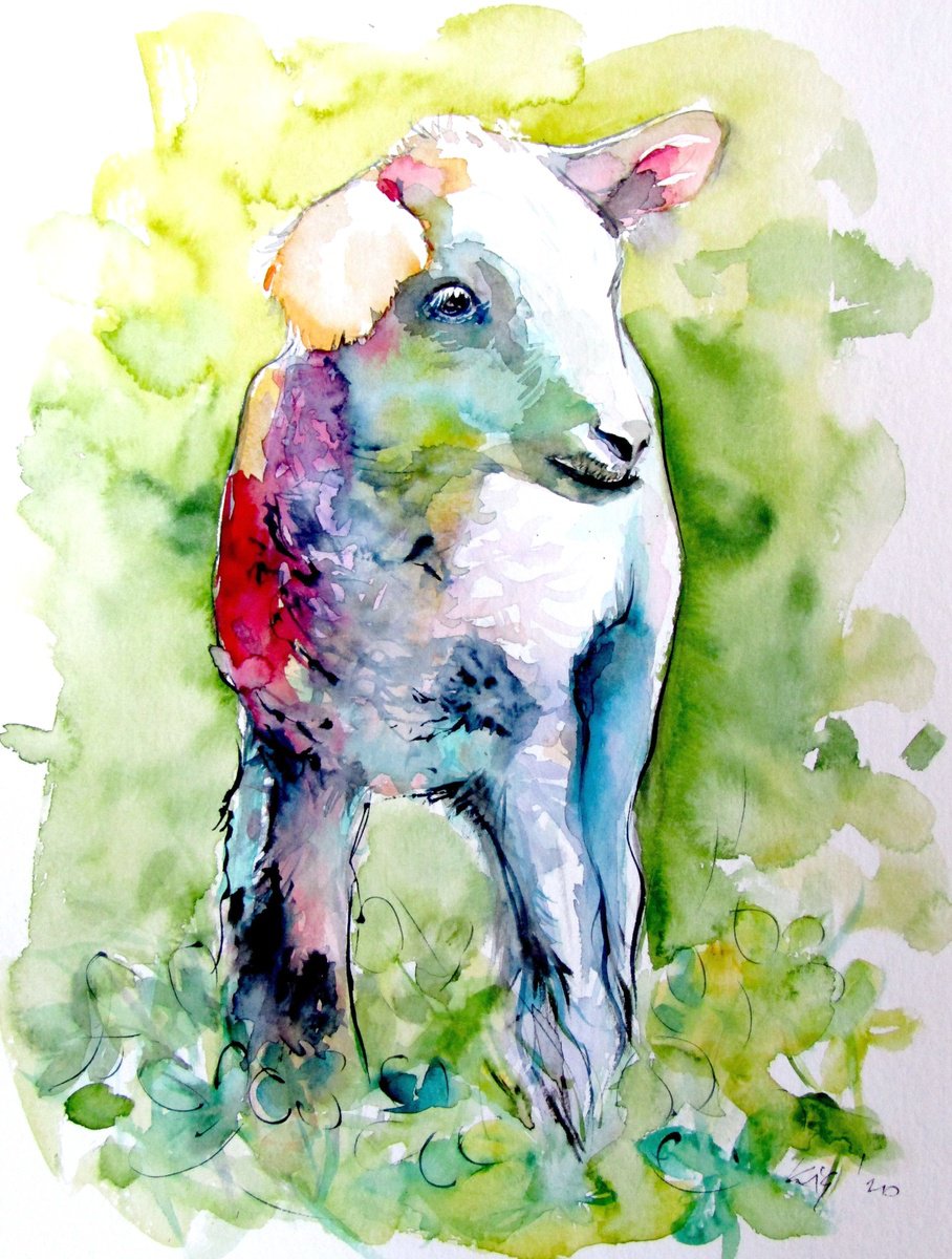 Impressionistic Animal Watercolour By Kovacs Anna Brigitta, 10 X 13", Cute Lamb, Original Artwork