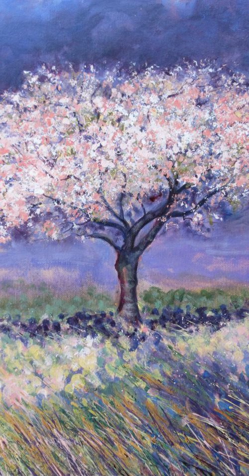 Cherry Tree in Spring by Michele Wallington