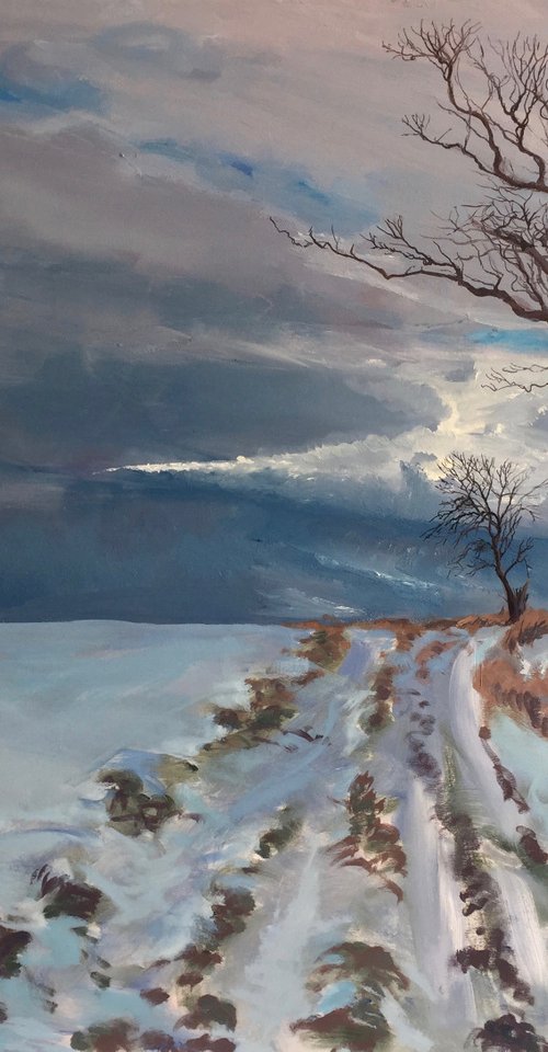 'Remembering the Winter of 2020/21, Fife' by Stephen Howard Harrison