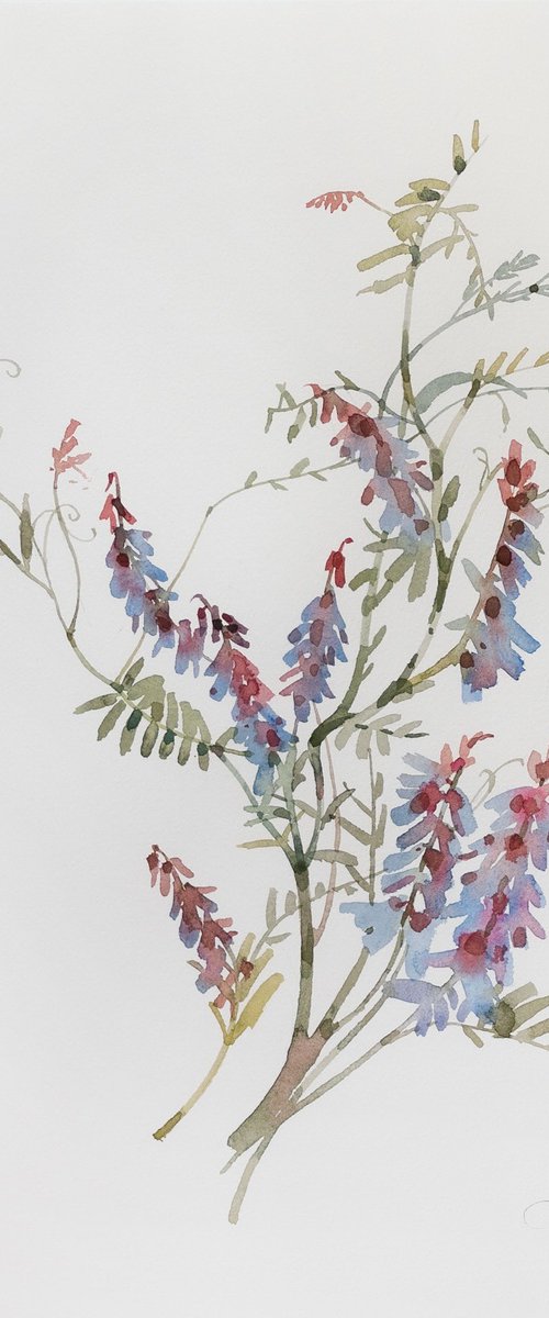 Wildflowers by Ekaterina Pytina
