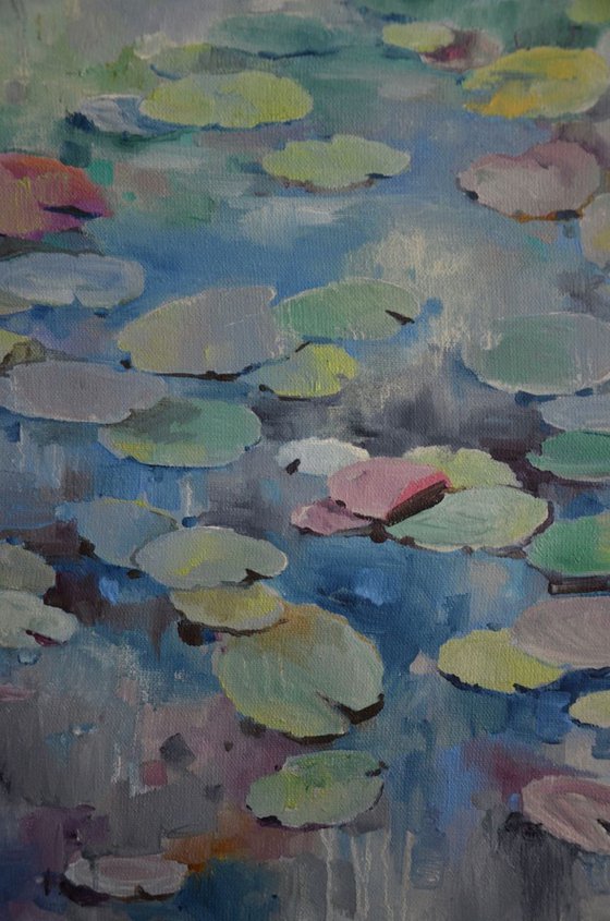 Lily pond. Falling asleep