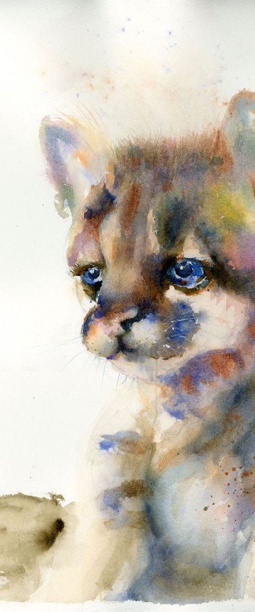 Baby cougar by Olga Tchefranov (Shefranov)