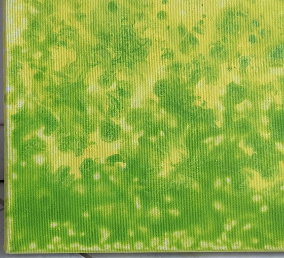 Spring