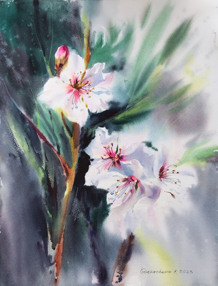 Impressionistic Botanical Watercolour By Eugenia Gorbacheva, 12 X 16, Almond Flowers #8, Original Artwork