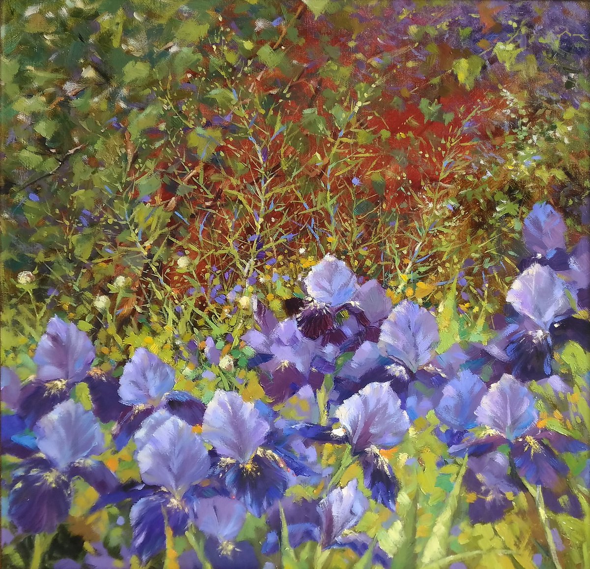 Irises by Natalia Kakhtiurina