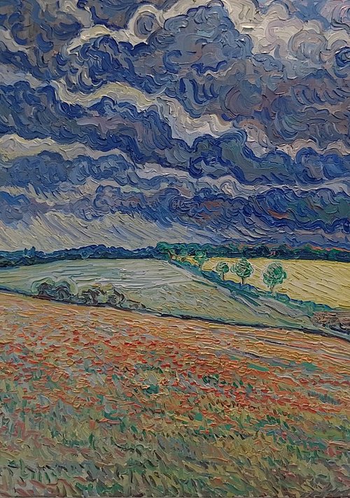 Poppyfield, Stormy Skies by Nigel Dickerson