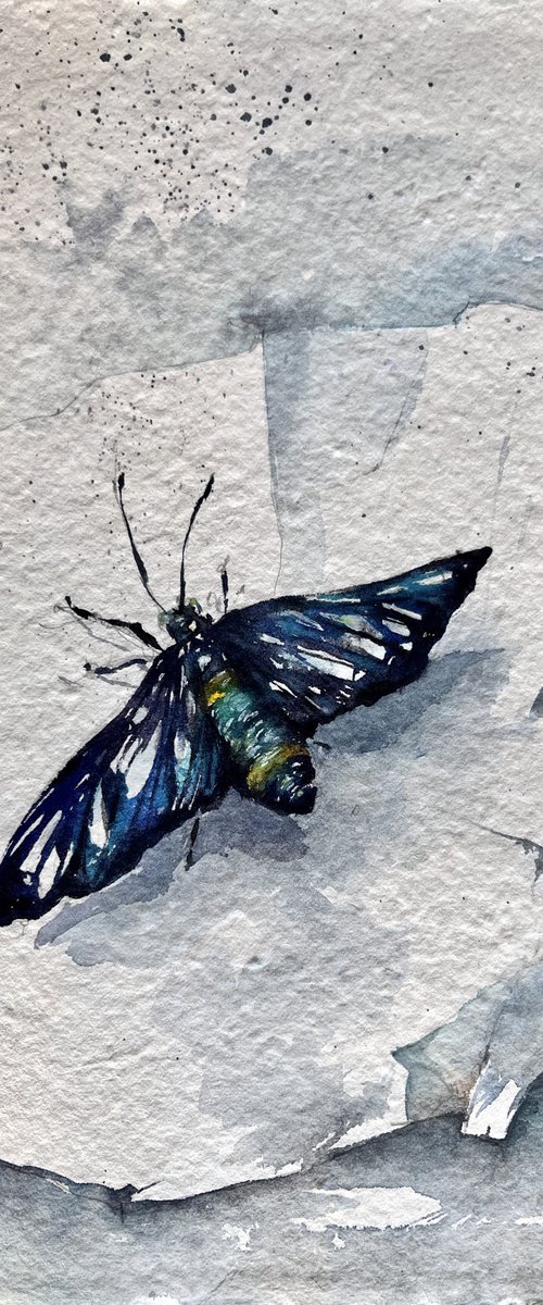 Insectopia/Blue by Larissa Rogacheva