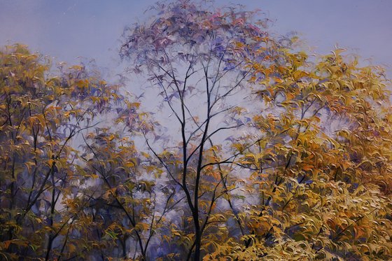 "Autumn Shore"