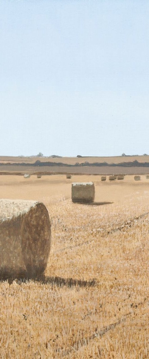 Hay Rolls by Christopher Witchall