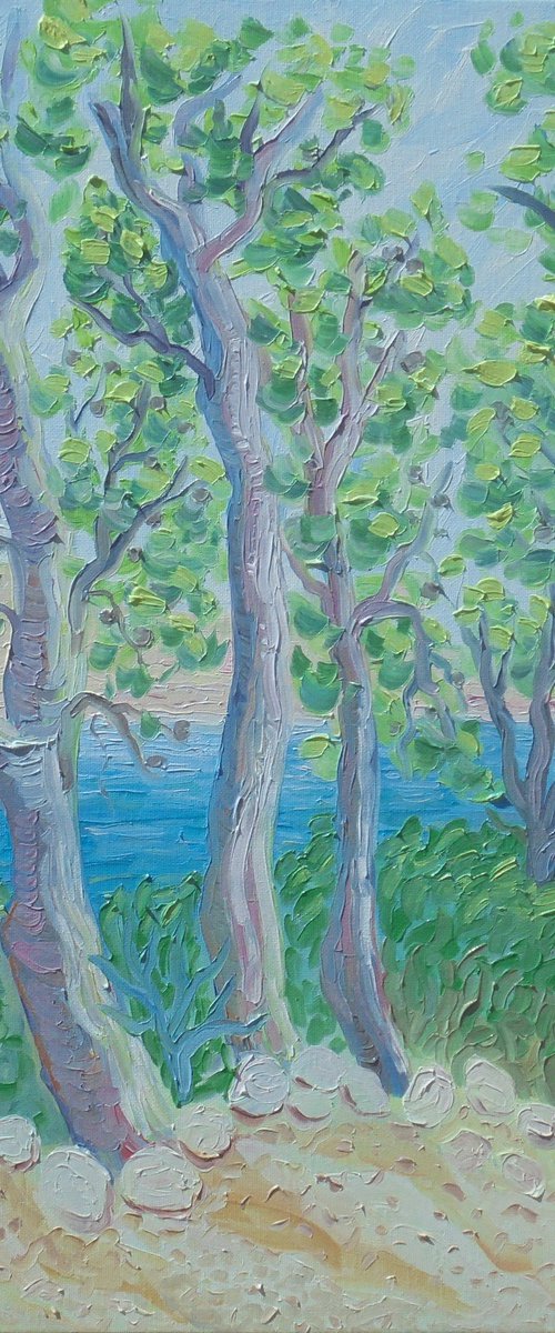 Serra Gelada Pine Trees by Kirsty Wain