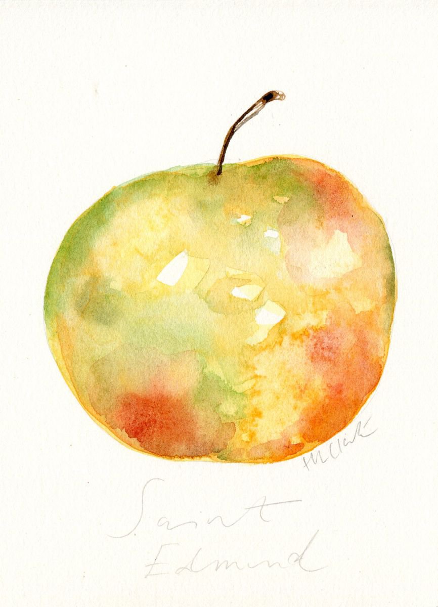 Saint Edmund Apple Watercolour by Hannah Clark
