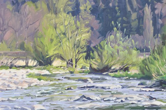 The Wild Loire In Spring