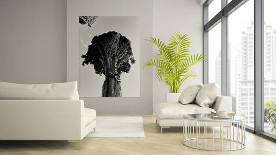 NT#185 legendary three #3