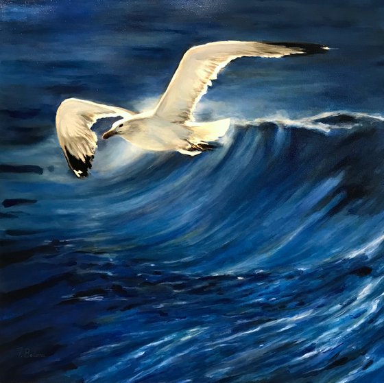 Seagull II