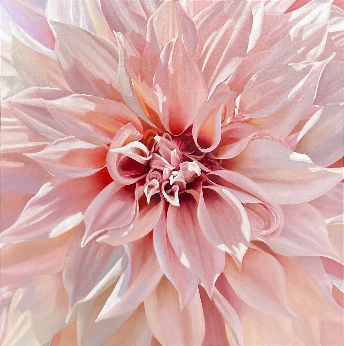 Photorealistic Botanical Oil Painting By Alla Kallass, 24 X 24, Timeless Beauty. Dahlia, Original Artwork