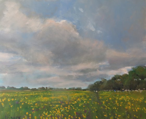 Buttercup Meadow, June 4