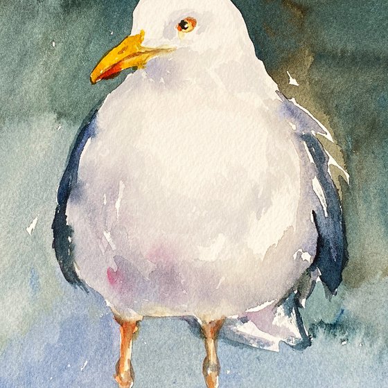 Seagull Henry