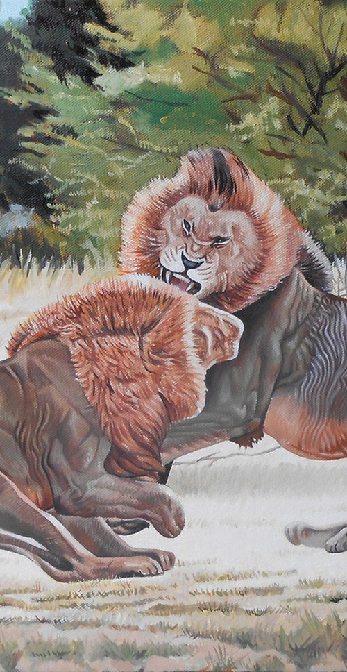 Lion Fight 4 by Alexander Titorenkov