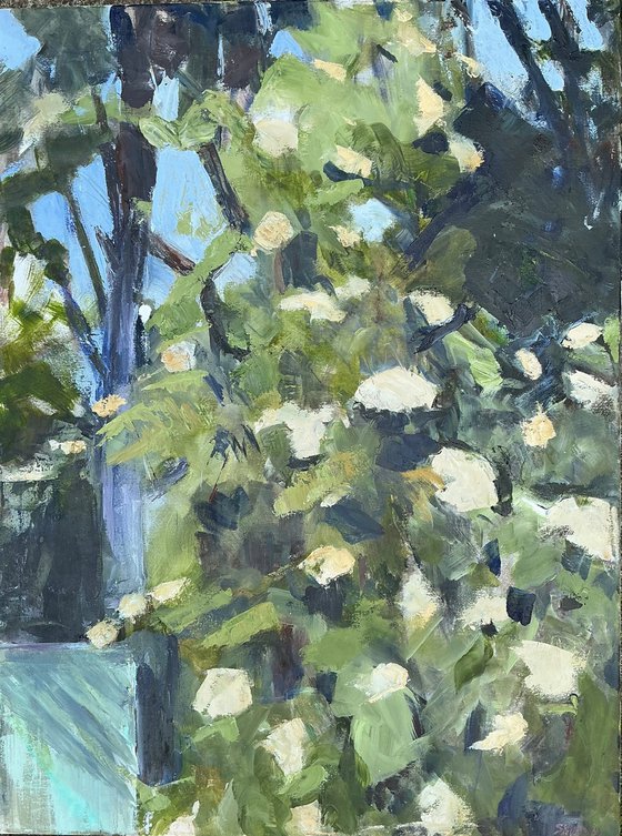Elder
